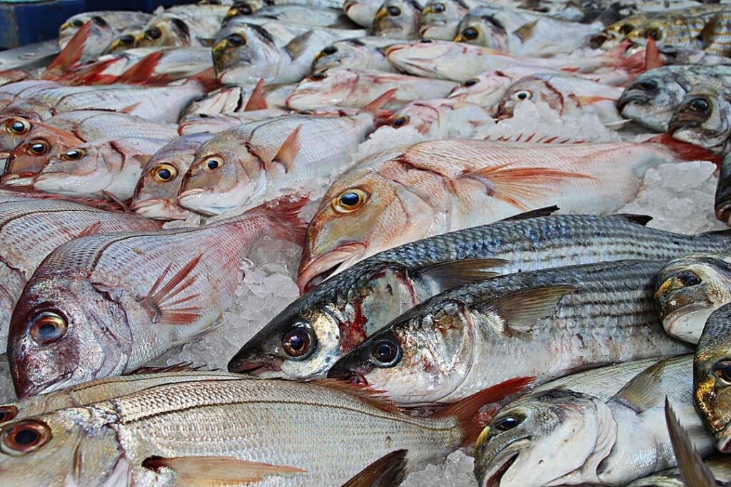 Los Pescados Típicos de Málaga: Sabores del Mediterráneo